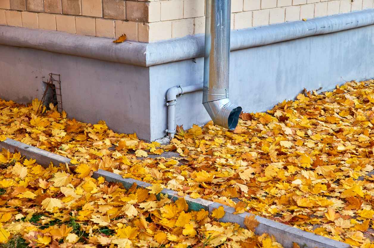 Colourful autumn leaves fallen onto wet asphalt road close rain tube and brick wall
