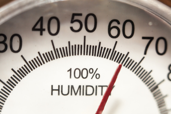 Humidity levels high